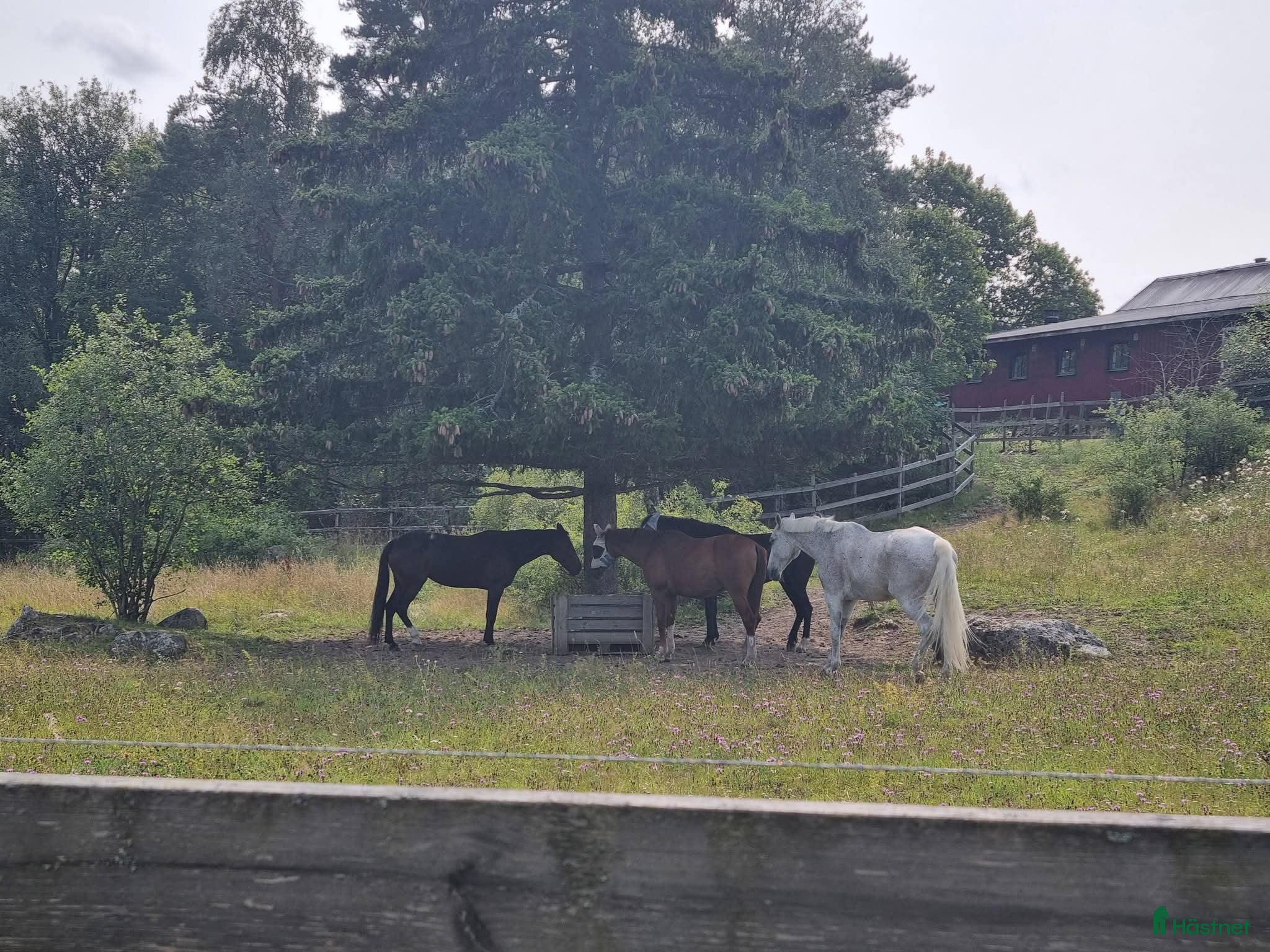  stallplats finnes: Stallplats i Upplands Väsby  - Annons 10