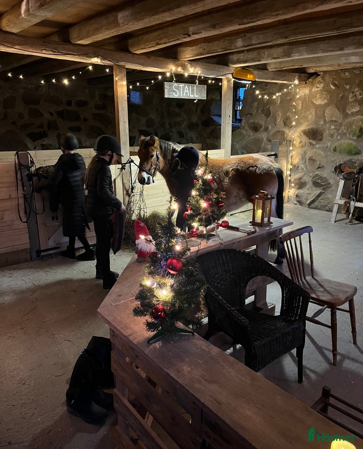  hästar Ponny Sökes  i Tingsryd - Annons 11