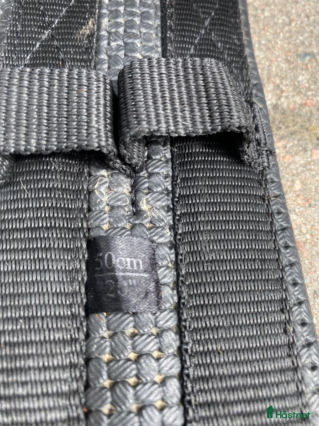 Övrig Hästutrustning hästutrustning till salu: Pioneer ridpad stl ponny svart - Annons 5