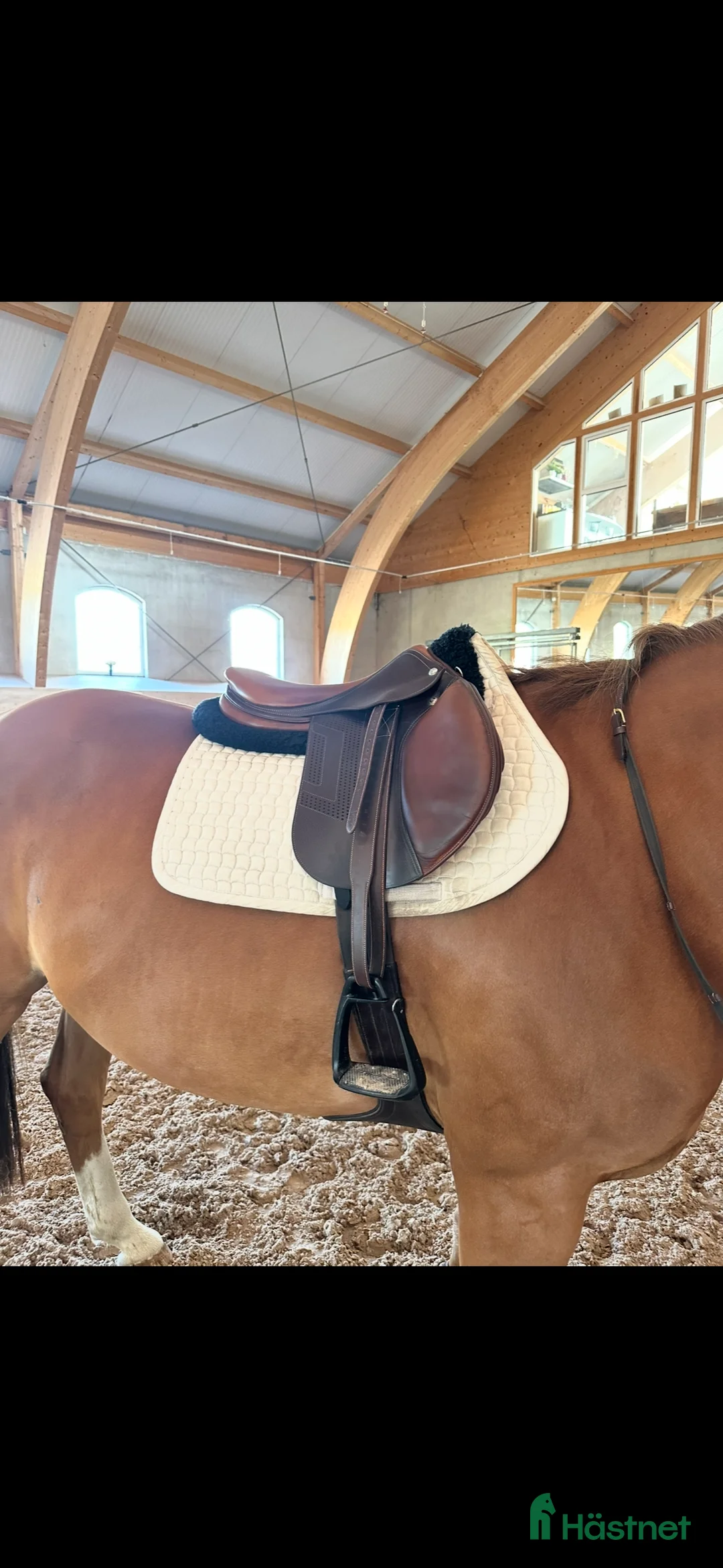 Sadlar hästutrustning till salu: Renaissance Bhoof i Höviksnäs - Annons 2