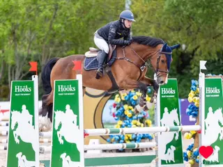 hästar Din blivande superstjärna? - Annons 2