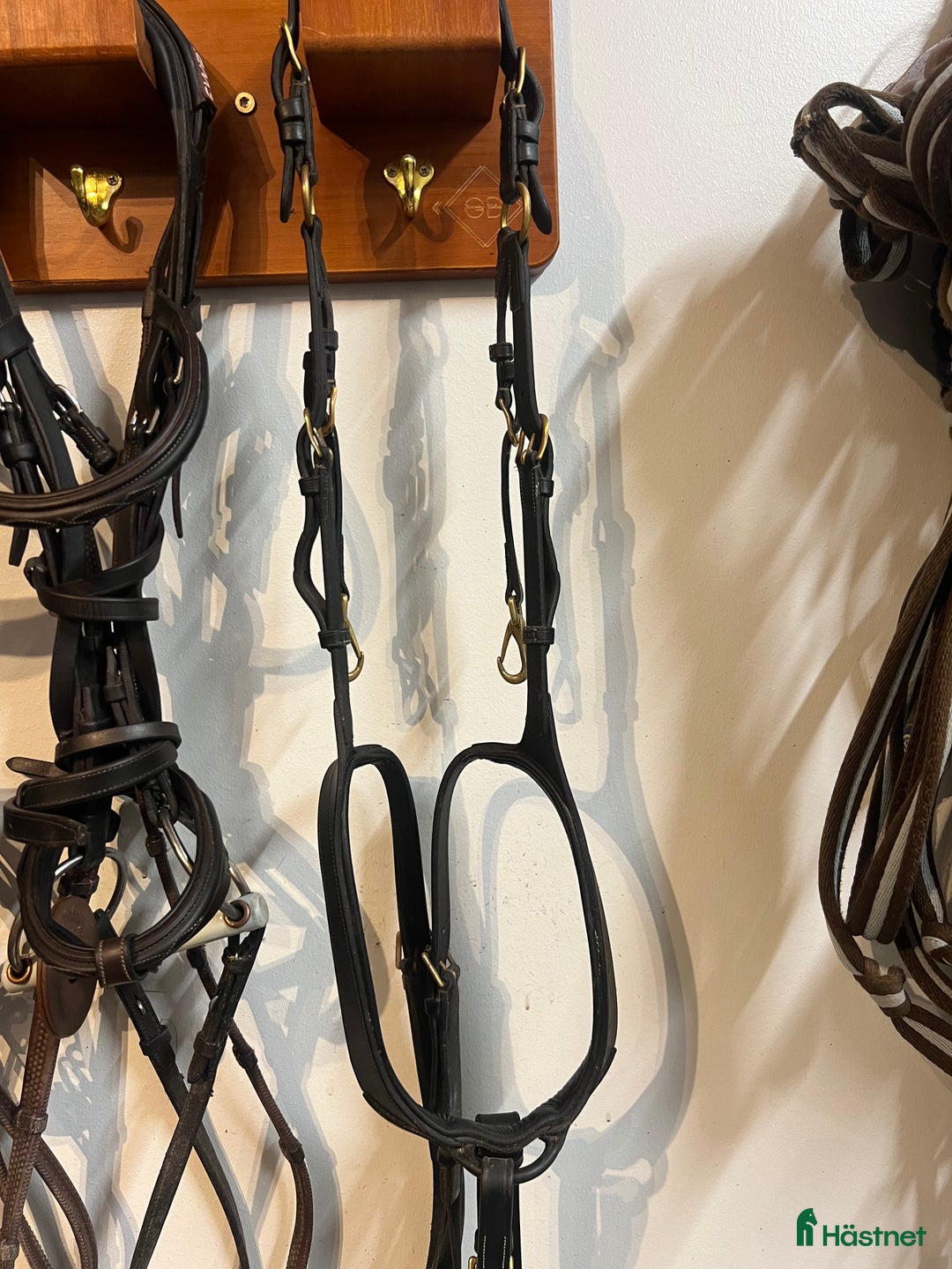 Övrig Hästutrustning hästutrustning till salu: Dyon 5-punkt förbygel i Uppsala - Annons 1