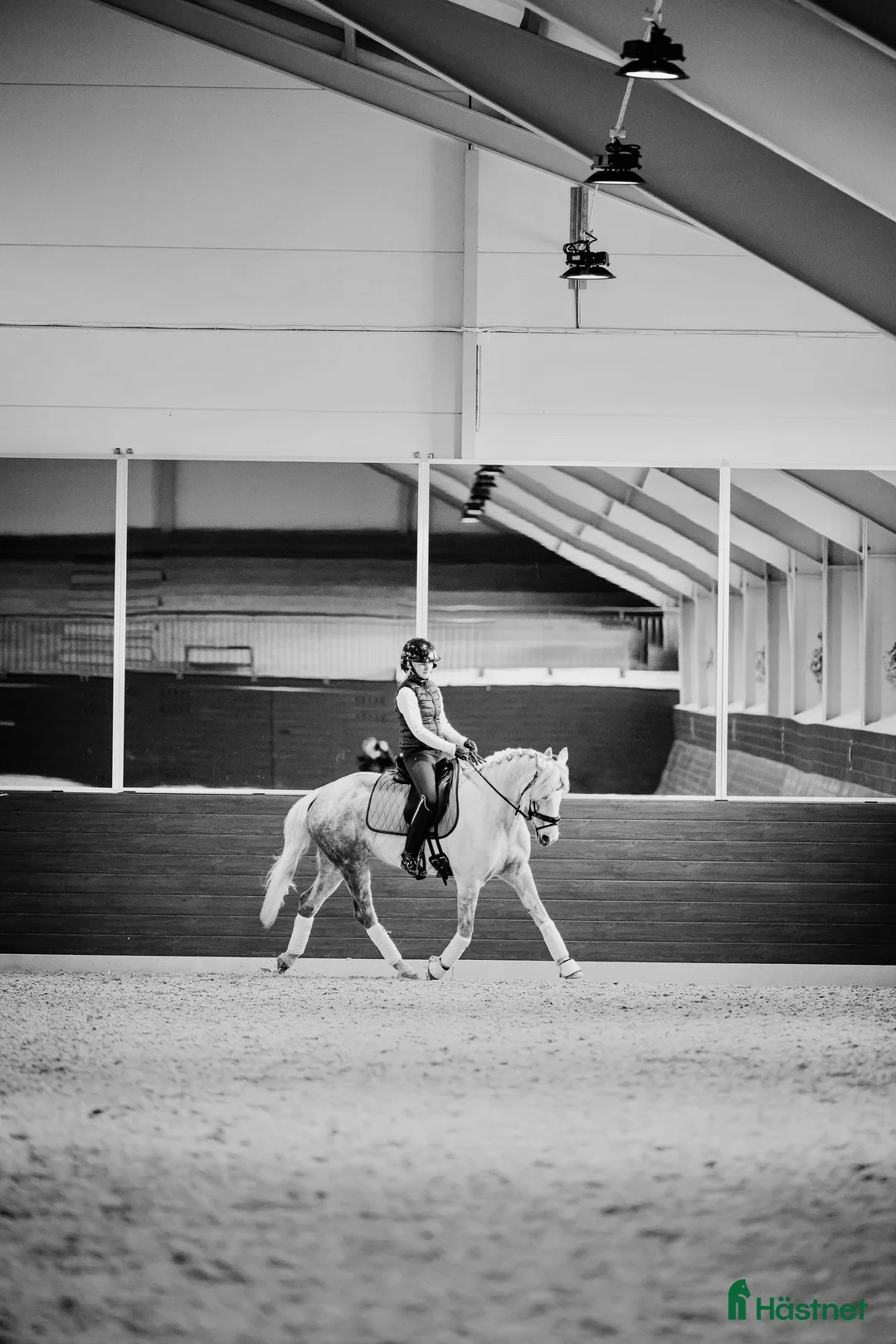 Dressyr hästar till salu: Underbart ponnysto säljes 💘 - Annons 1