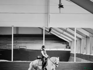 hästar Underbart ponnysto säljes 💘 - Annons 18