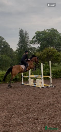 Galleribild {{count}}