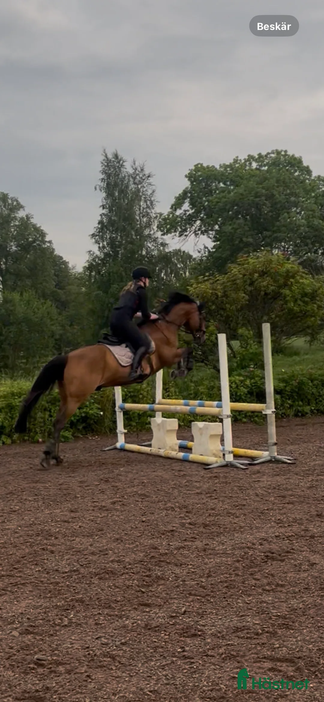 Galleribild {{count}}