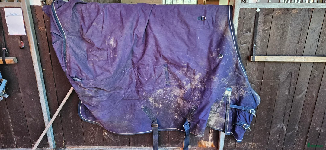 Övrig Hästutrustning hästutrustning till salu: Massa ponny saker i Vingåker - Annons 28