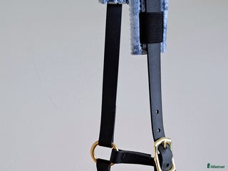 Övrig Hästutrustning hästutrustning till salu i Kullavik - Annons 39