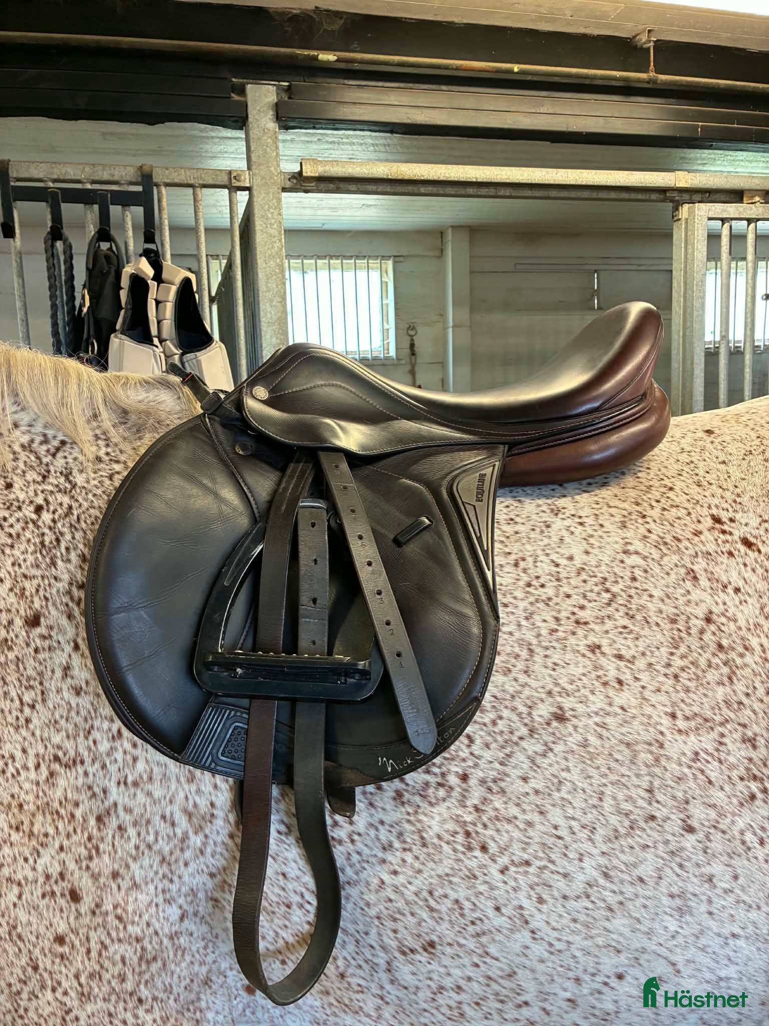 Sadlar hästutrustning Equiline Nick Skelton hoppsadel 17" - Annons 2