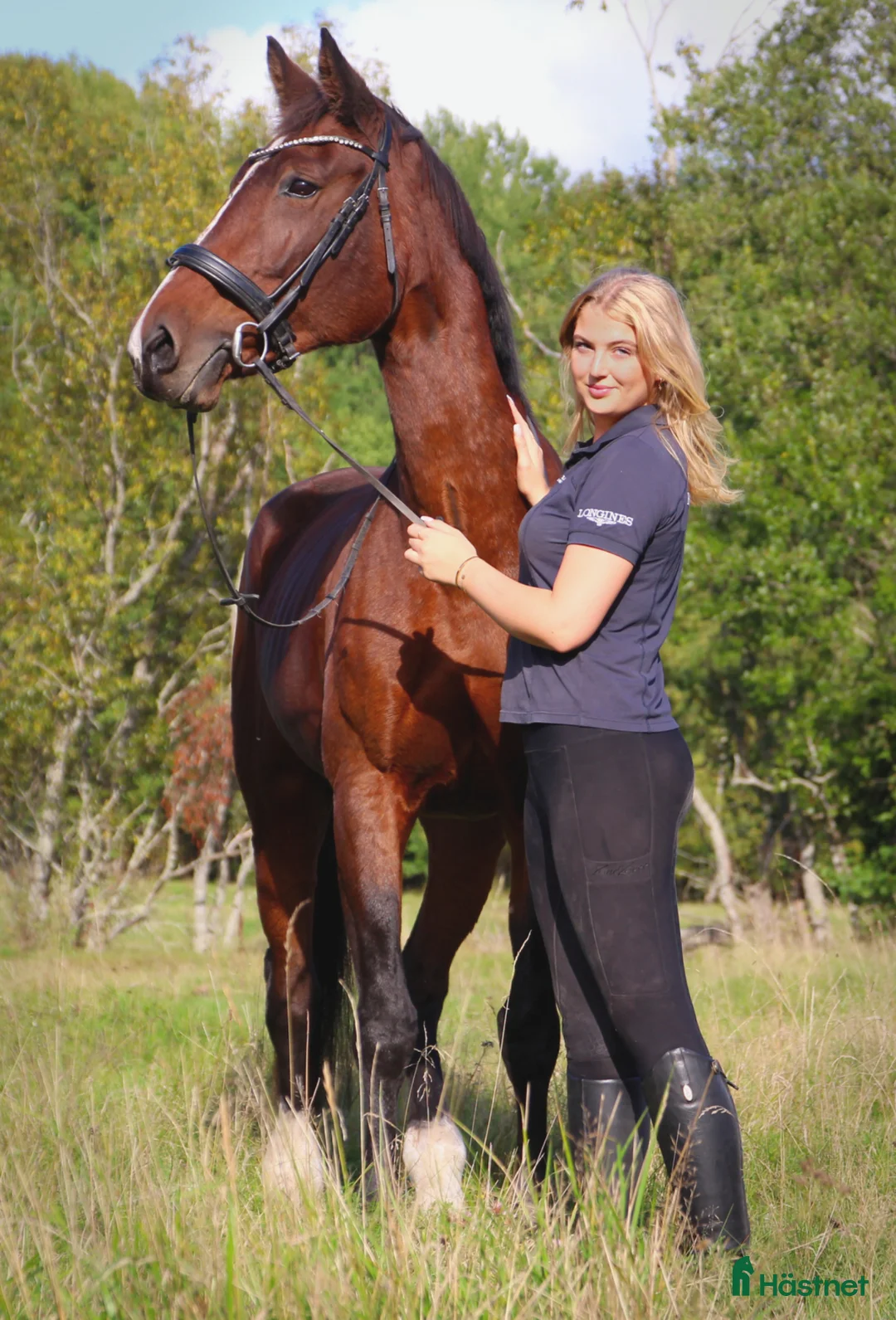  foderhäst sökes: Foderhäst (ev köp) sökes  i Vendelsö - Annons 1