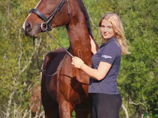 foderhäst Foderhäst (ev köp) sökes - Annons 9