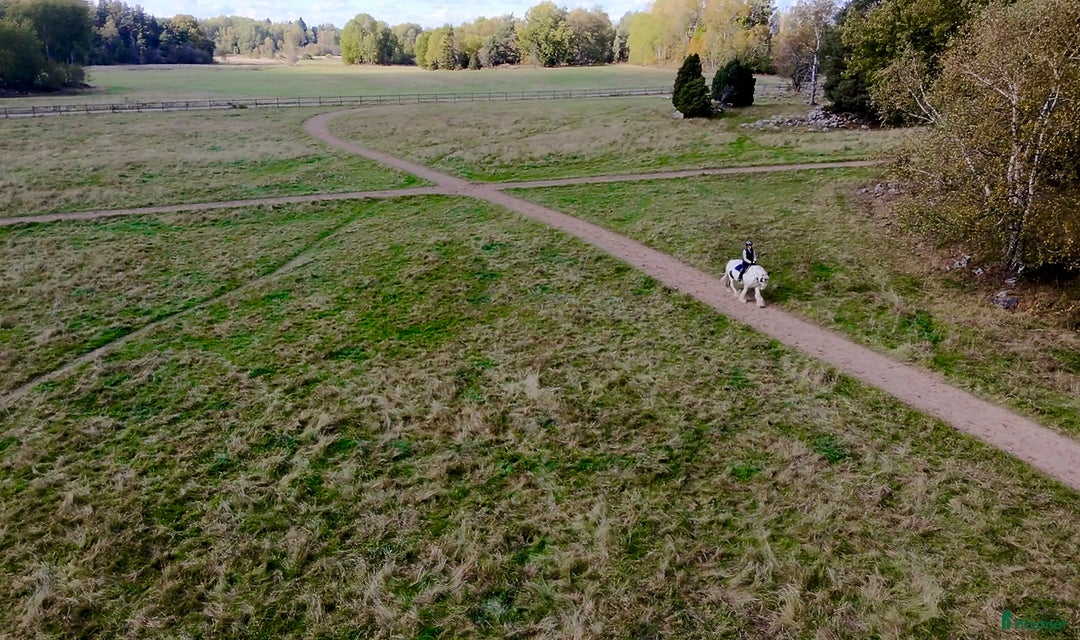  stallplats finnes: Helinackordering Almunge i Almunge - Annons 2