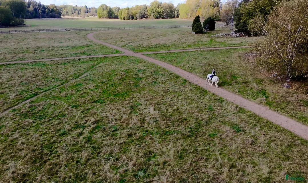  stallplats finnes: Helinackordering Almunge i Almunge - Annons 2