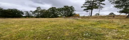  stallplats finnes: Lösdrift - Annons 9