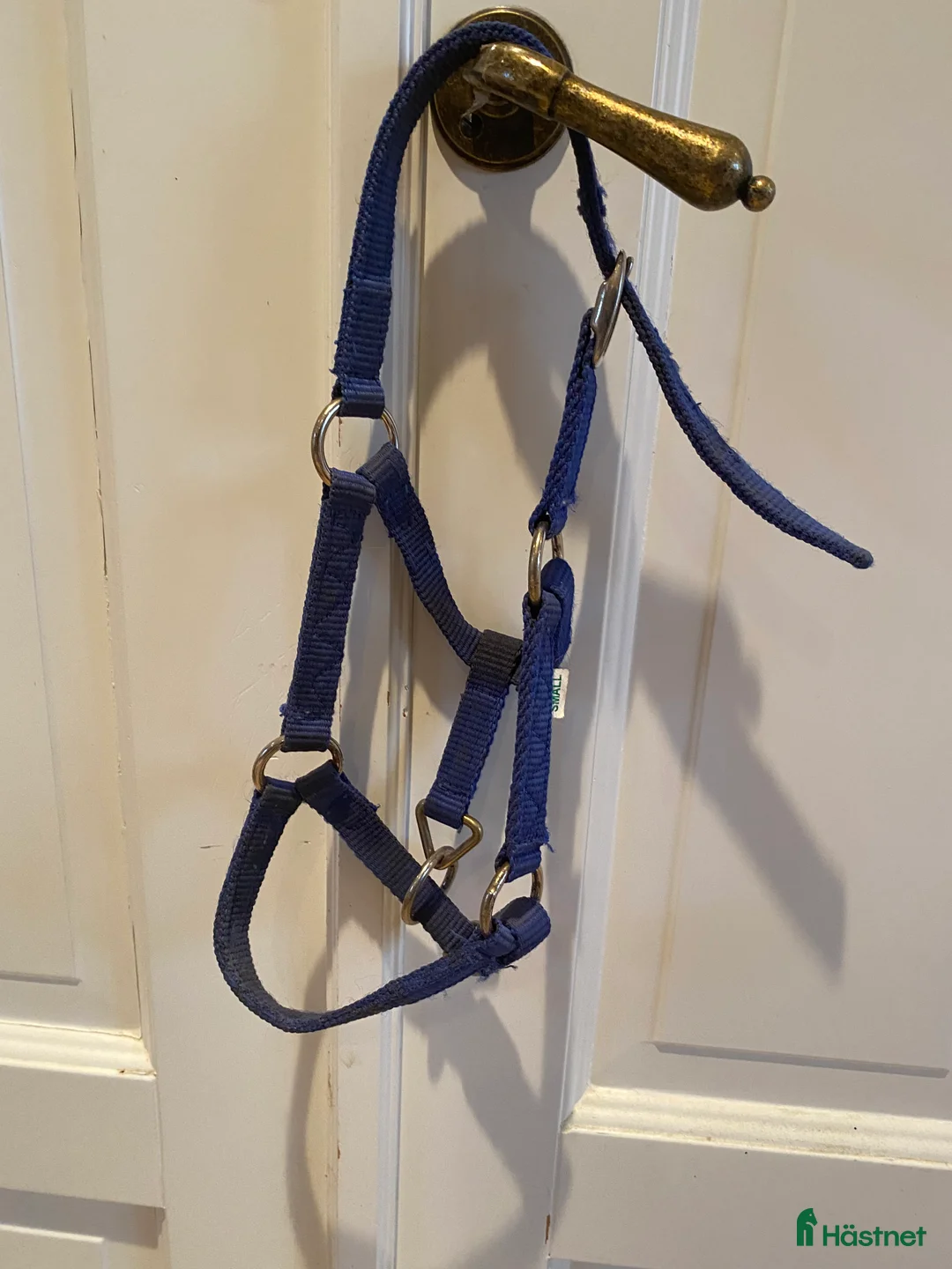 Träns hästutrustning till salu: Liten uppvisningsgrimma / liten fölgrimma  i Gärsnäs - Annons 3