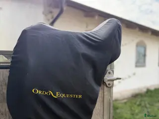 Sadlar hästutrustning Dressyrsadel med grym passform - Annons 7