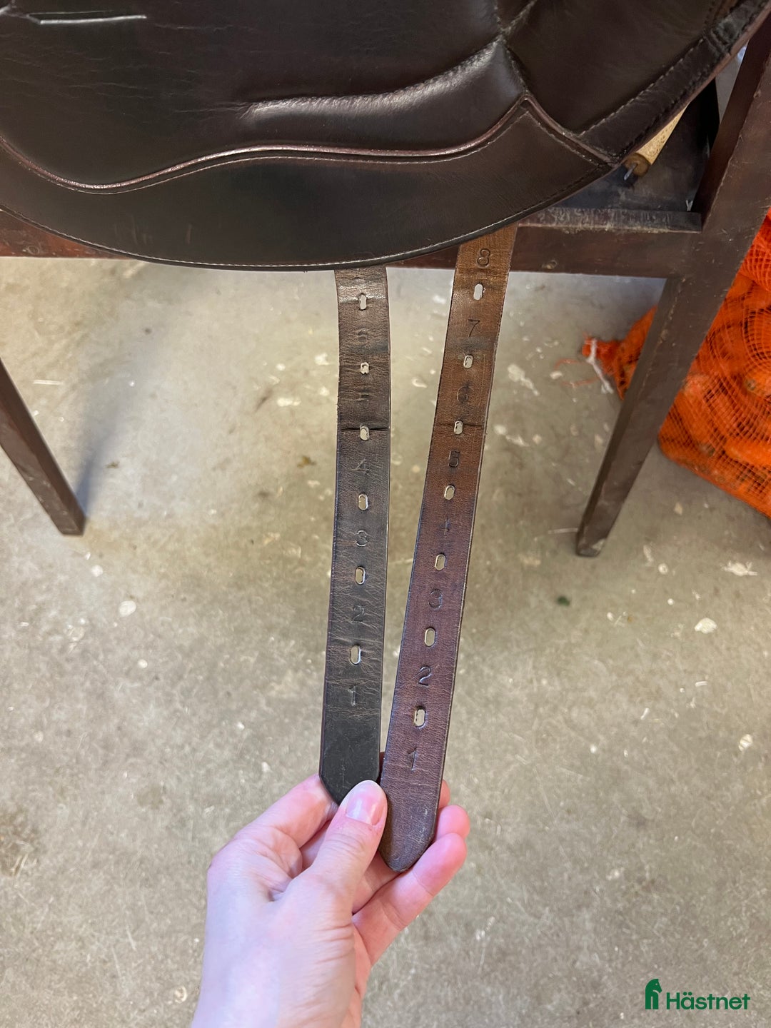 Sadlar hästutrustning till salu: Mörkbrun Prestige Denni  i Furuby - Annons 6