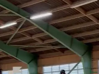 hästar Läromästare, skogsmulle! - Annons 1