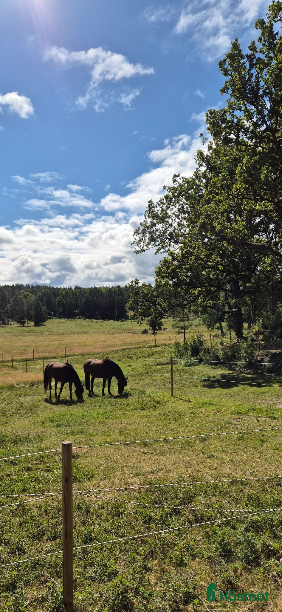  stallplats Stallplats i Tullinge  - Annons 11