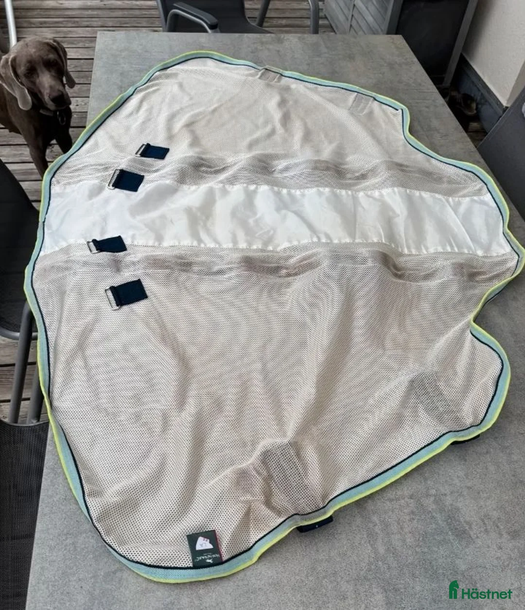 Täcken hästutrustning till salu: Amigo Bug Buster 155cm - Annons 3