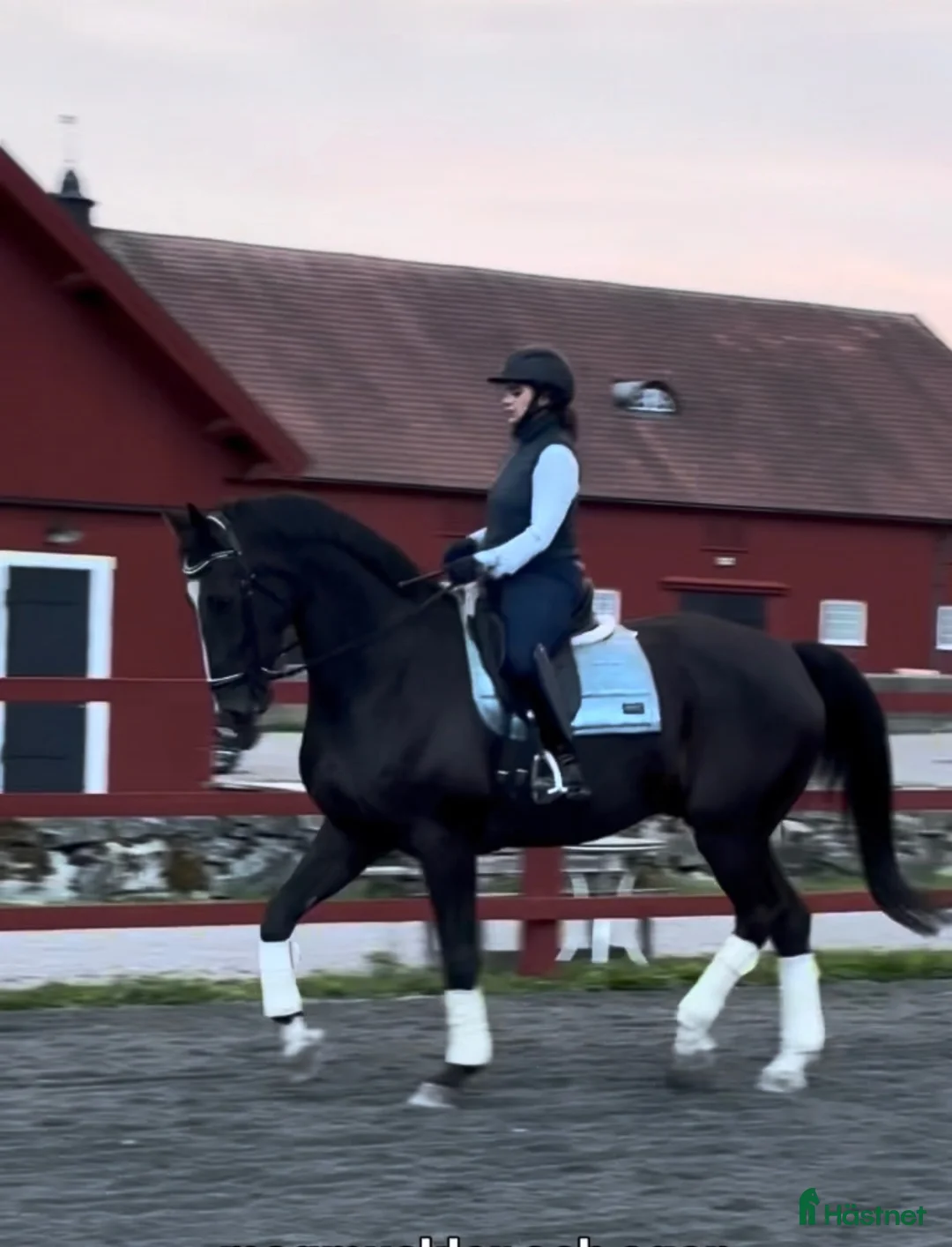  hästservice finnes: Samarbete finnes  - Annons 1
