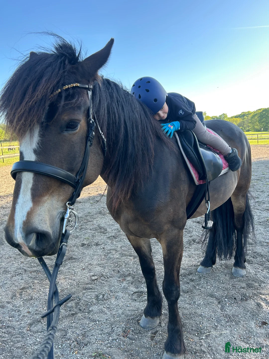 Galleribild {{count}}