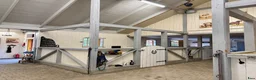 Allround hästar sökes: Sto till livslångt femstjärnigt hem! i Nyköping - Annons 4