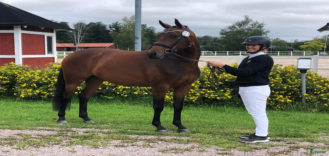 Galleribild {{count}}