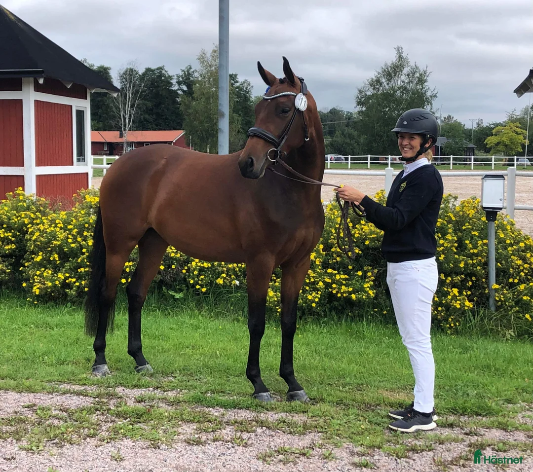 Galleribild {{count}}