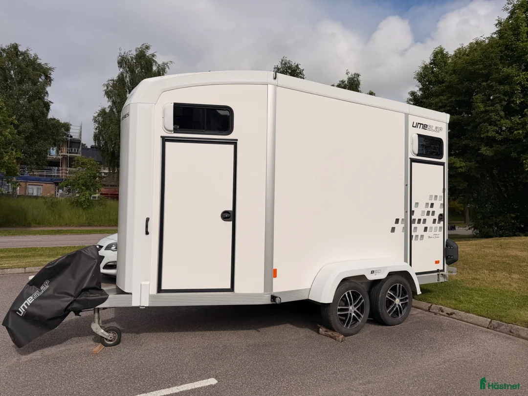 Hästtransporter  fordon & transport till salu: Umesläp B50 - Ett bakåtvänt hästsläp - Annons 1