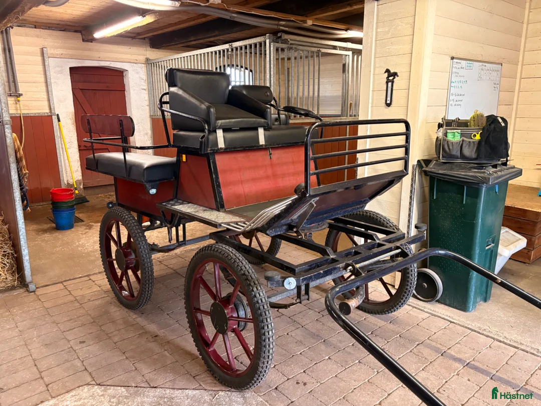 Körvagnar körning till salu: Wagonette - Annons 1