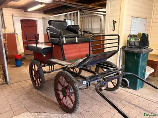 Körvagnar körning till salu: Wagonette - Annons 11