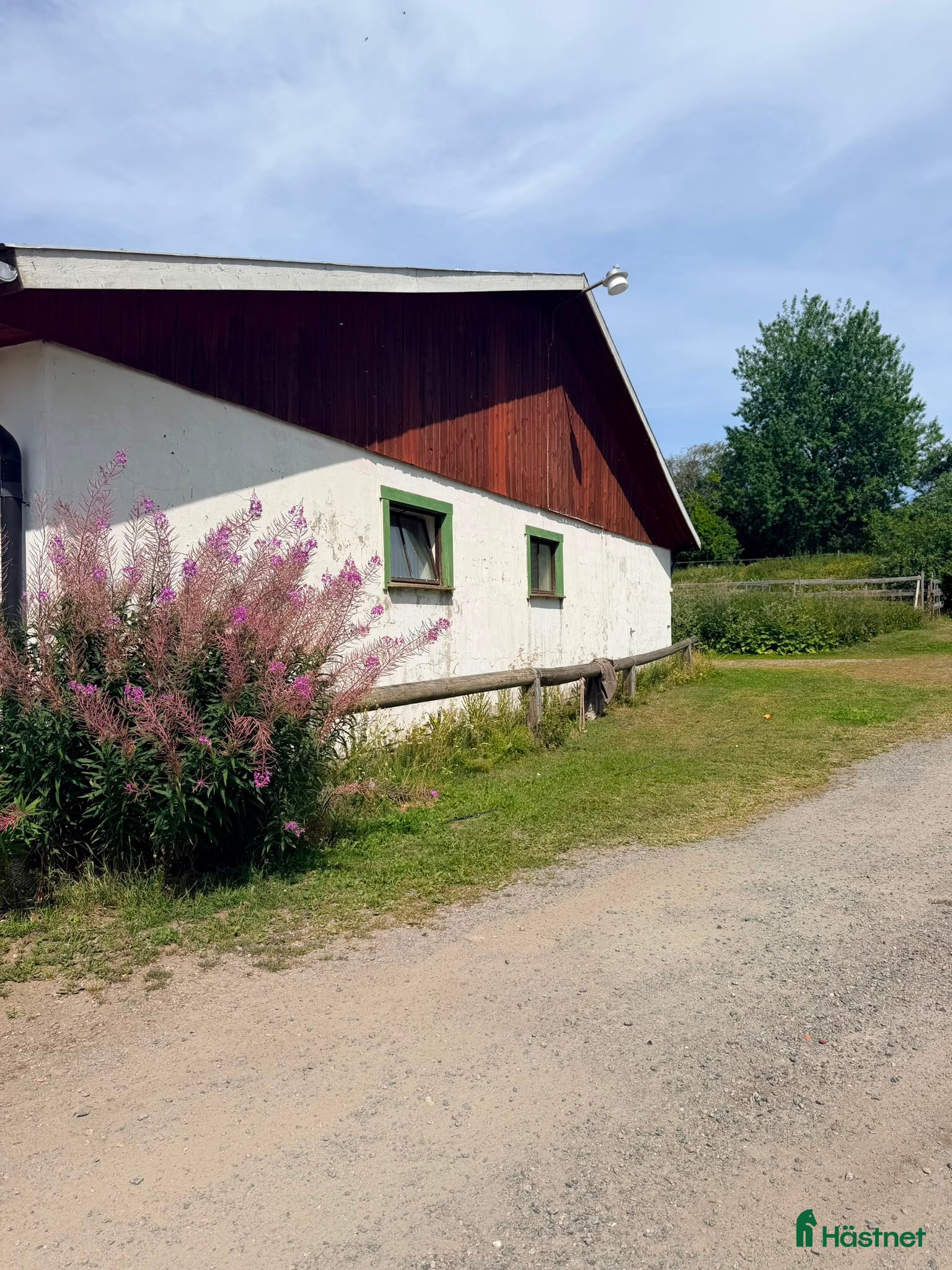  stallplats Lösdriftsplats med eller utan egen box finnes  - Annons 18