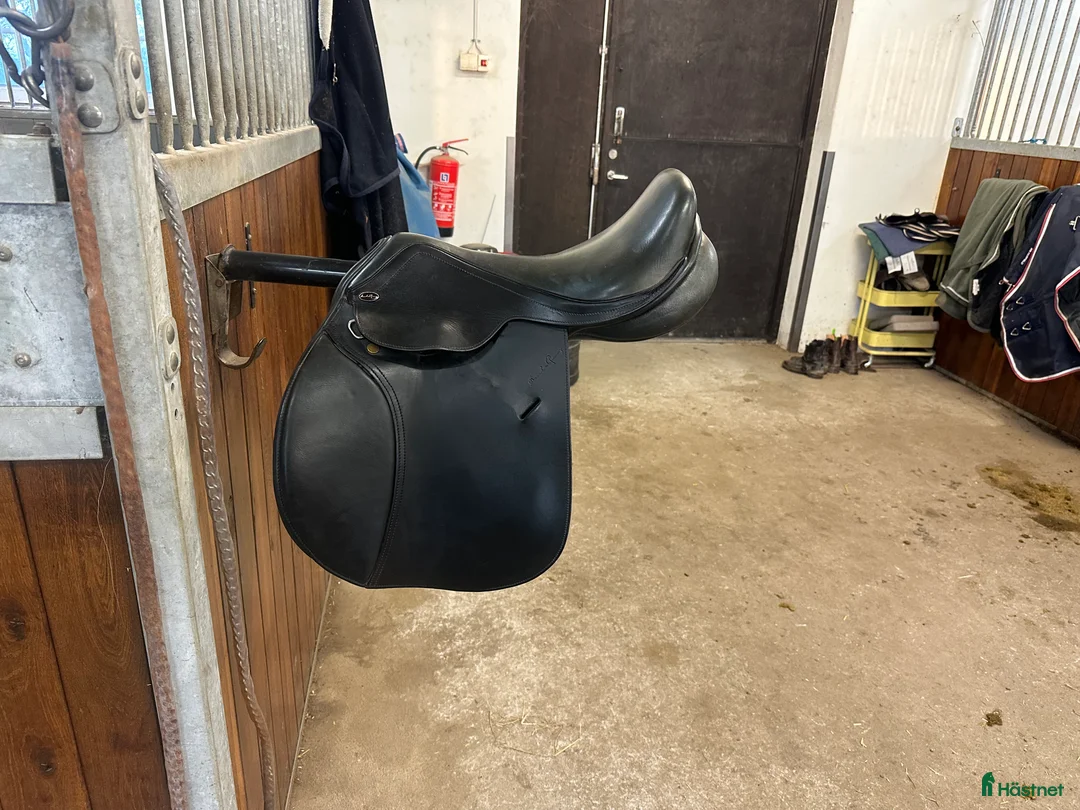 Sadlar hästutrustning till salu: Santa Cruz Celine  i Trelleborg - Annons 2