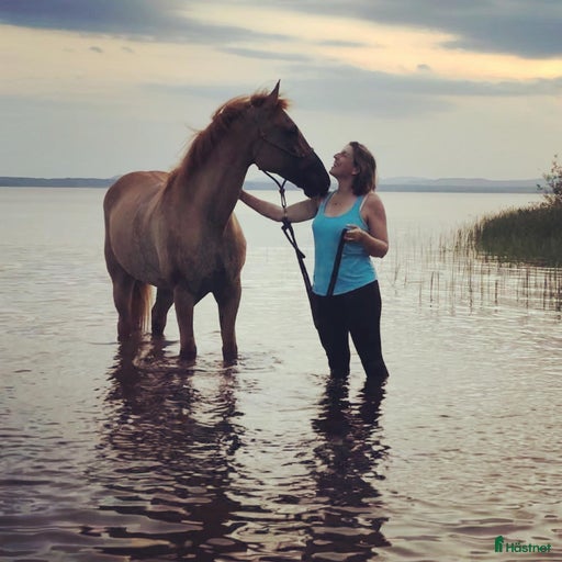 Galleribild {{count}}