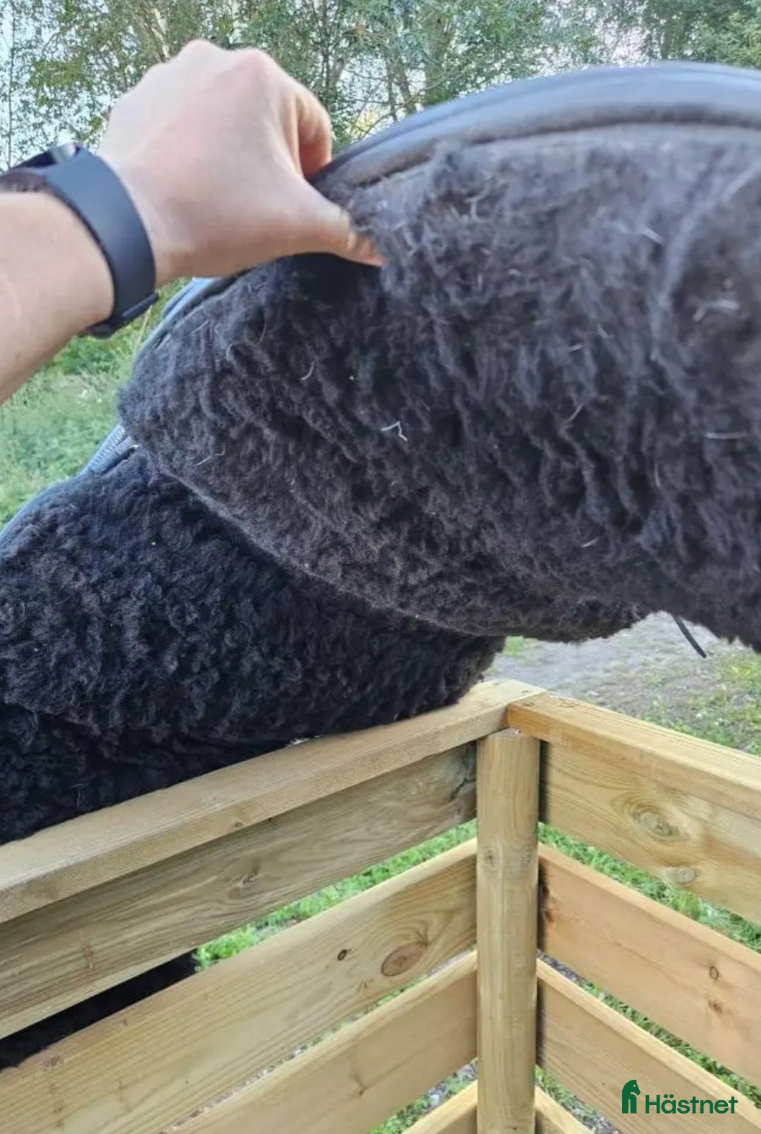 Sadlar hästutrustning till salu: Otroligt skön och välskött, stl 2 i Södertälje - Annons 2