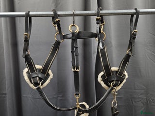 Övrig Hästutrustning hästutrustning till salu: Förbygel, ponny i Gällivare - Annons 9