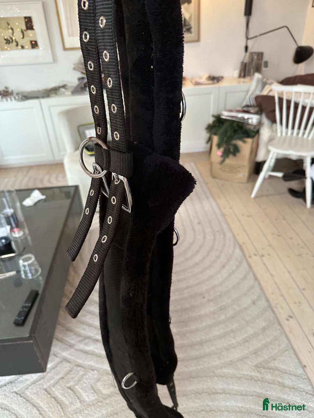 Sadeltillbehör hästutrustning till salu: Allt för 400 i Järfälla - Annons 3