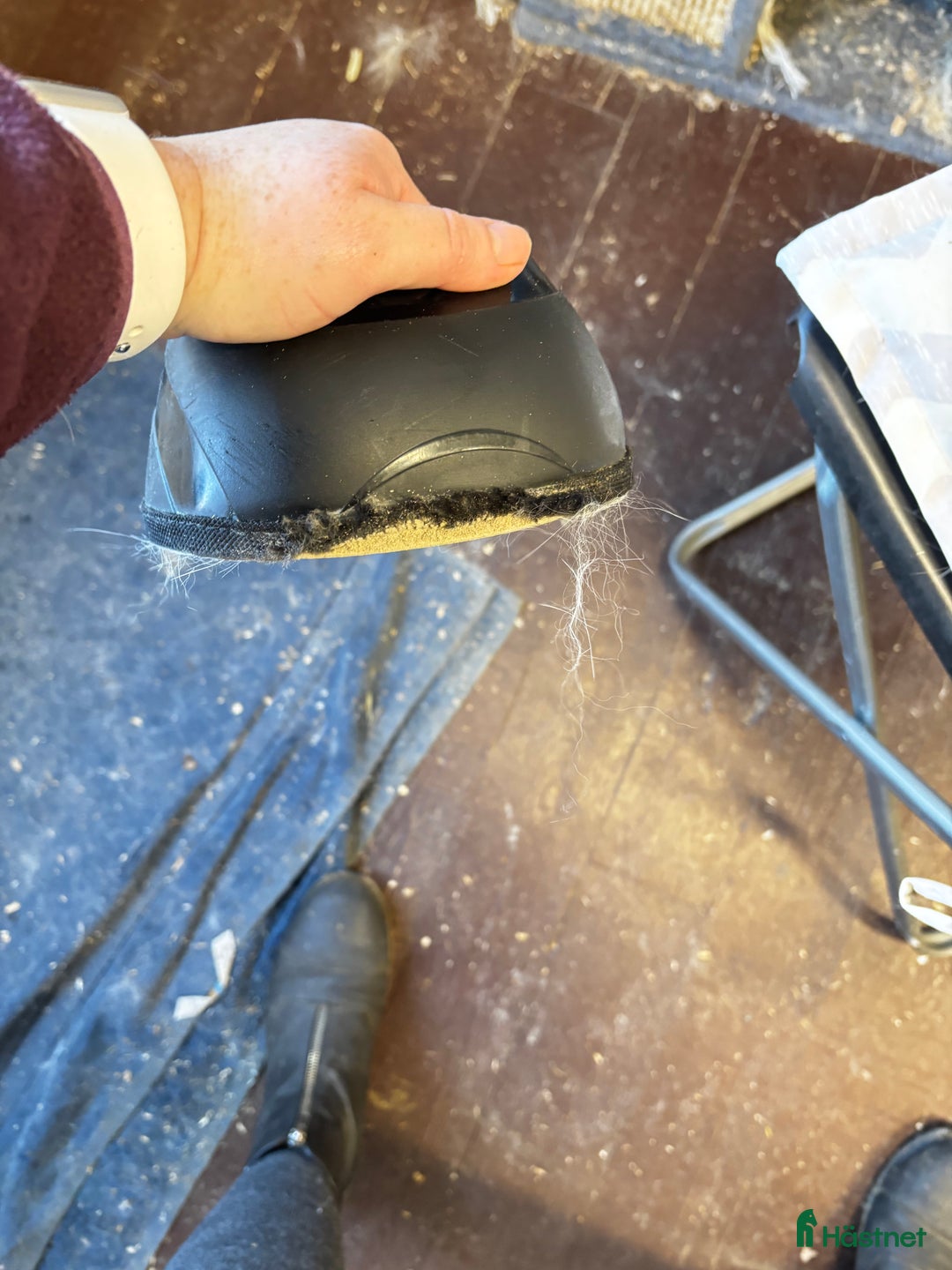 Benskydd hästutrustning till salu: Benskydd BoT i Hudiksvall - Annons 9