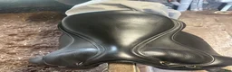 Sadlar hästutrustning till salu: EQUES Gold by Black Edition 17” Latex - Annons 4