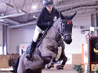 hästar Jättefin sportponny i Nykil - Annons 10