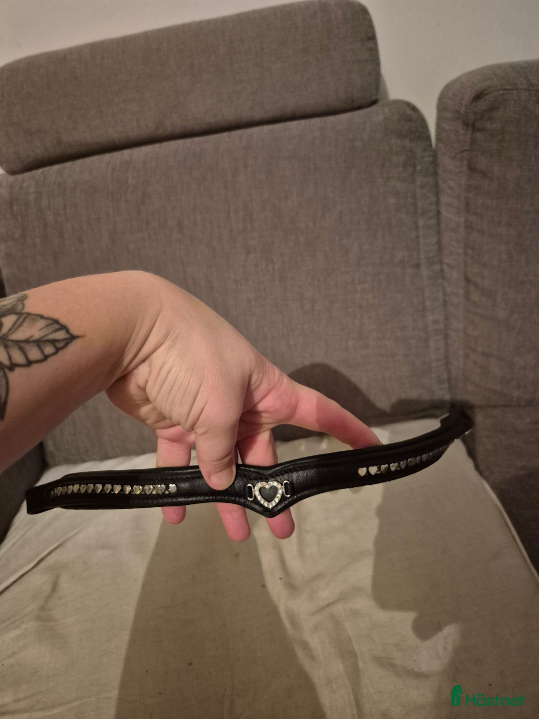 Övrig Hästutrustning hästutrustning till salu: Pannband med hjärtan  i Nybro - Annons 1