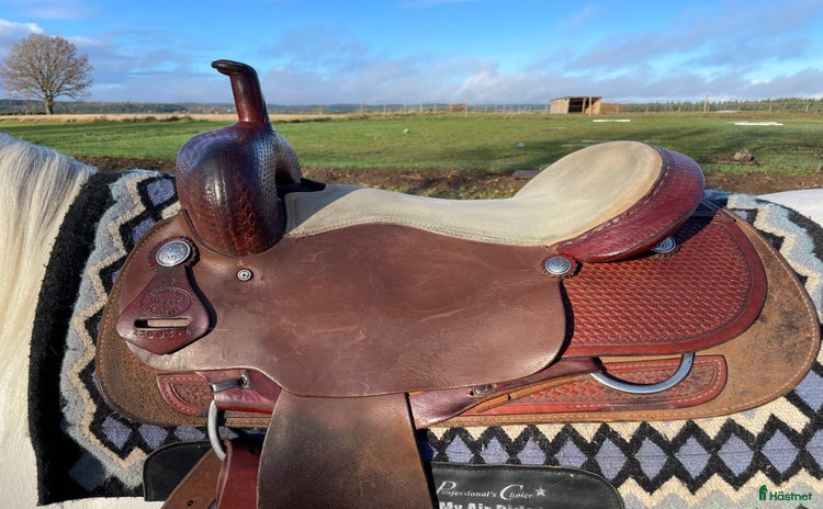 Sadlar hästutrustning till salu i Borås - Annons 15