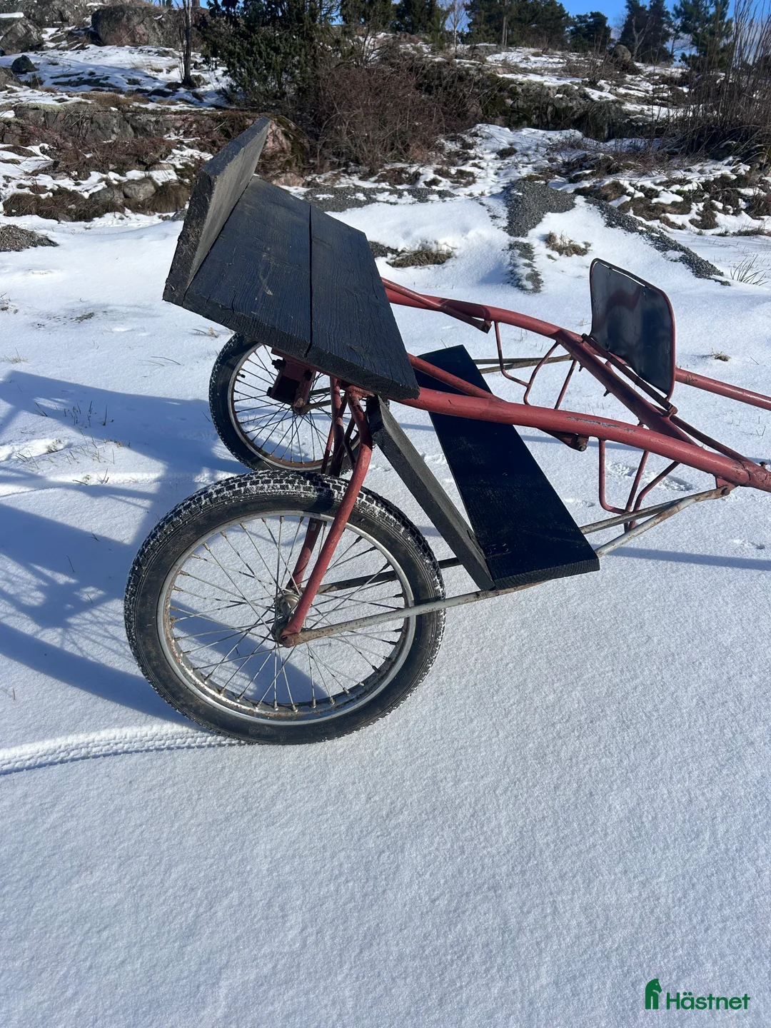 Körsulkys körning till salu: Rockard till A/B ponny  - Annons 3