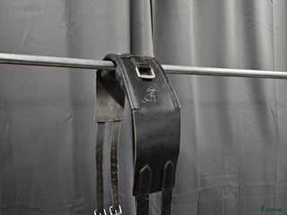 Övrig Hästutrustning hästutrustning till salu: Barbackagjord, full i Gällivare - Annons 2