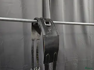 Övrig Hästutrustning hästutrustning Barbackagjord, full i Gällivare - Annons 17