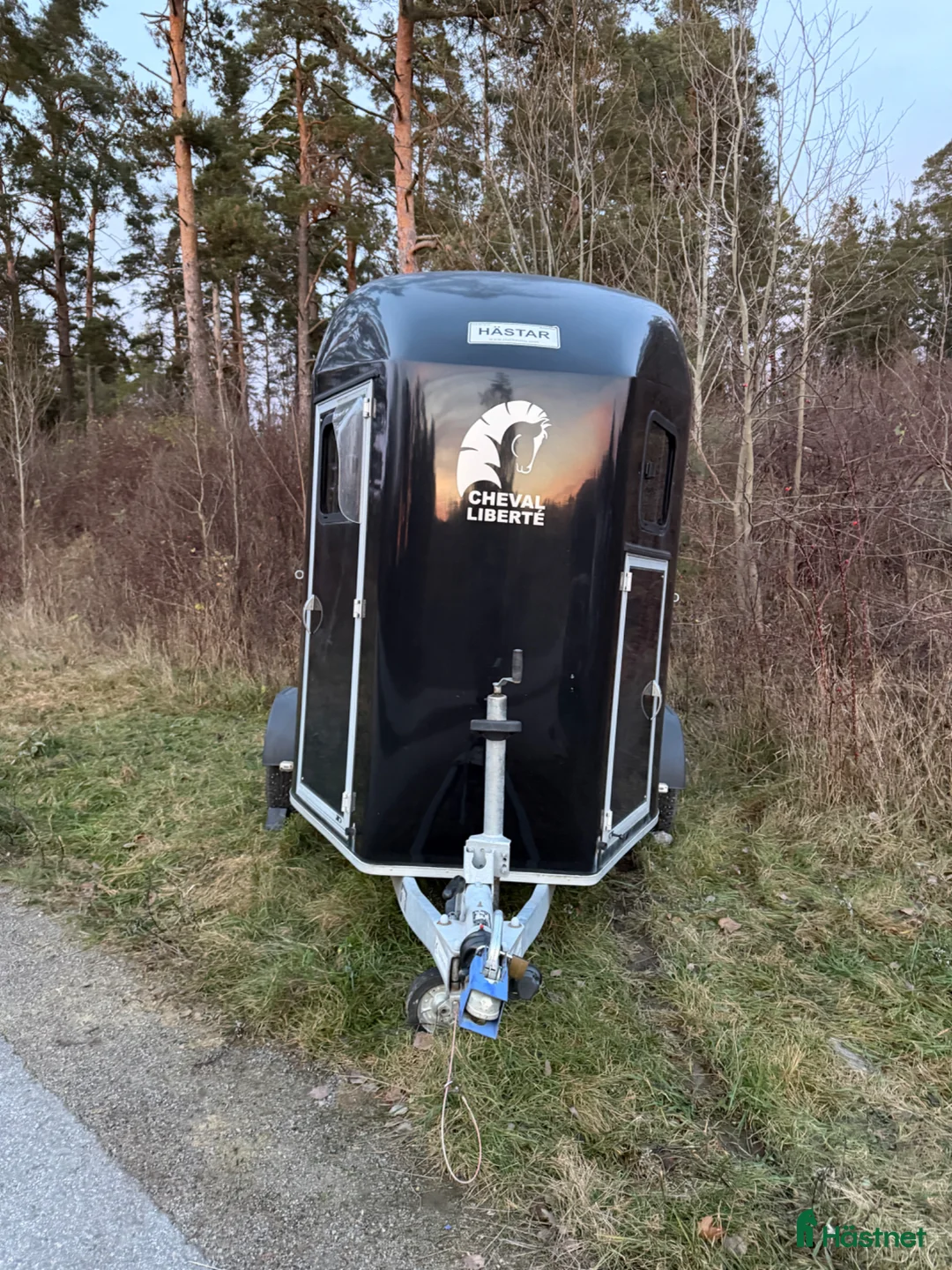 Hästtransporter  fordon & transport till salu: Mycket fin Cheval Liberté Gold 3, nybesiktigad - Annons 5