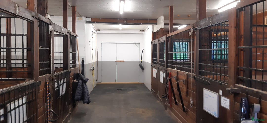  stallplats finnes: Lång utevistelse och ridhus i Sollentuna i Sollentuna - Annons 2