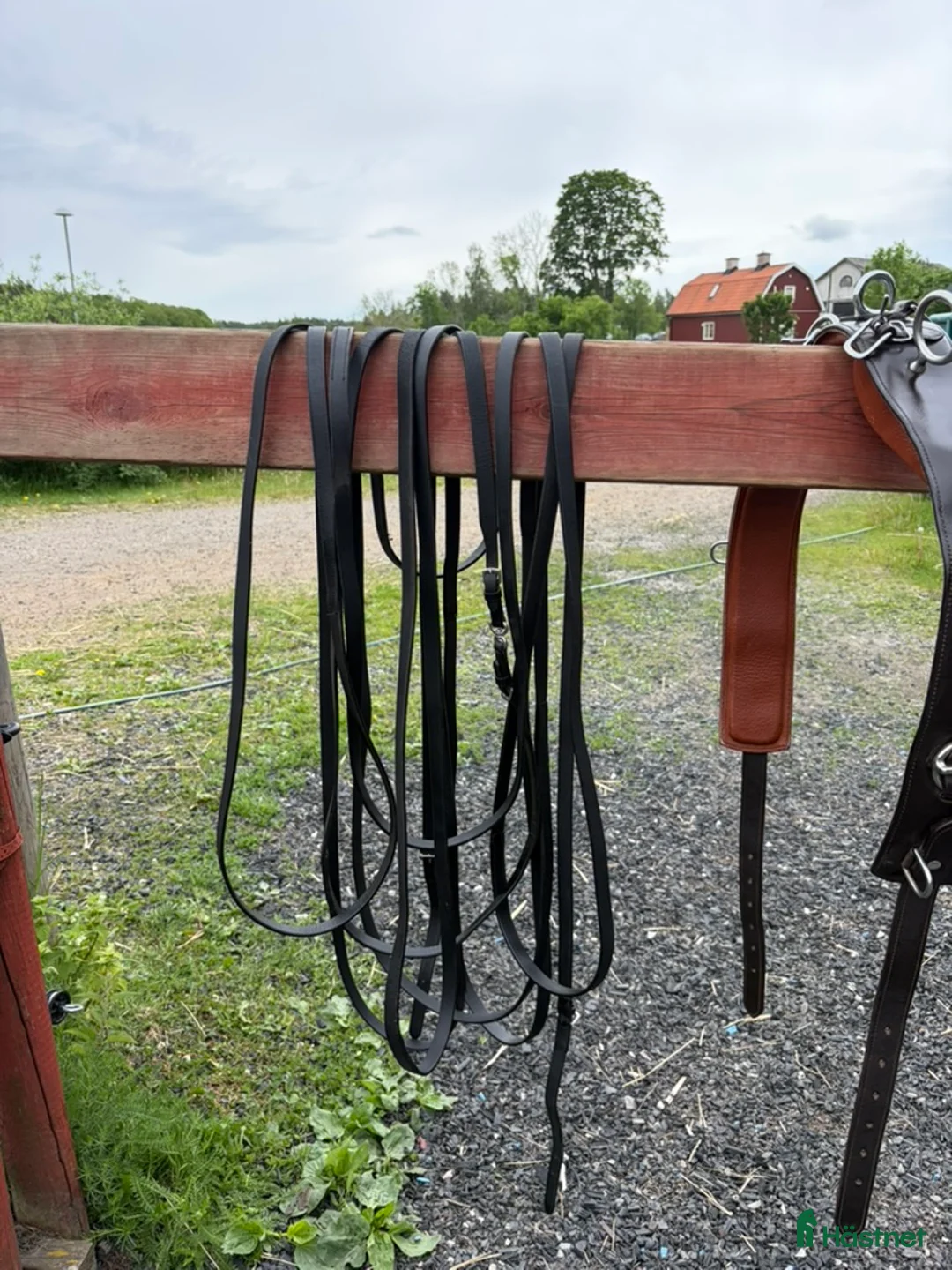 Övrig Hästutrustning hästutrustning till salu: Tömkörningsgjord i mycket fint skick - Annons 2