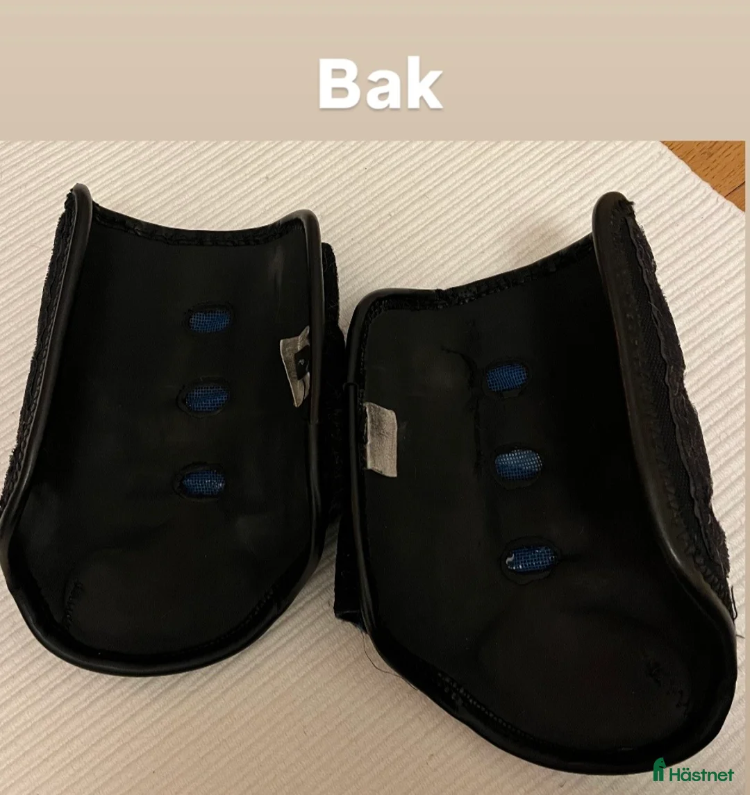 Benskydd hästutrustning till salu: Terrängskydd Premier Equine - Annons 8